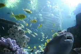 Sea Life Munich