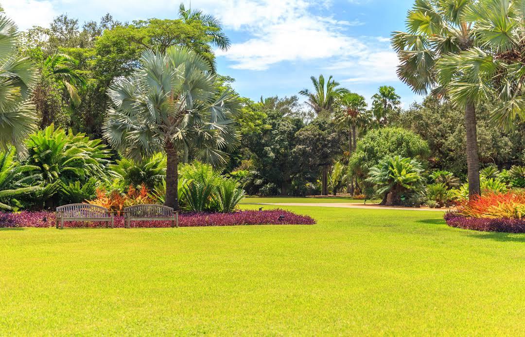 Fairchild Tropical Botanic Garden