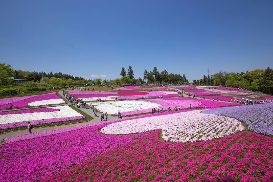 Hitsujiyama Park