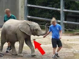 Wuppertal Zoo