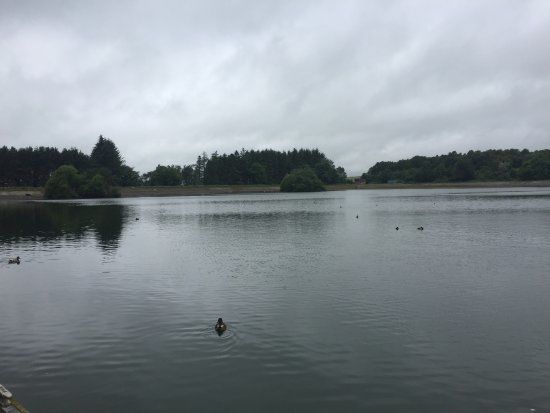 Clatto Country Park