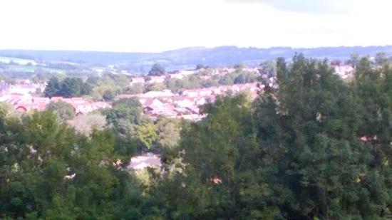 Homiton Bottom Community Nature Reserve