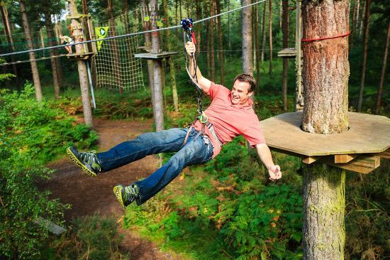 Go Ape Southampton