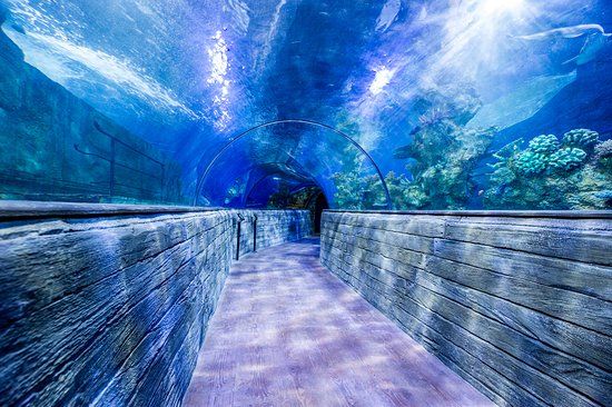 Acuario Nacional de Malta