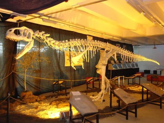 Museu Da Ciencia De Sao Carlos Prof. Mario Tolentino