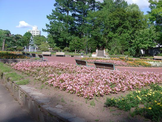 Tokiwa Park