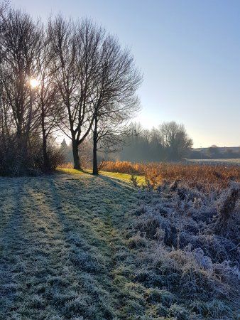 Cuckoos Hollow