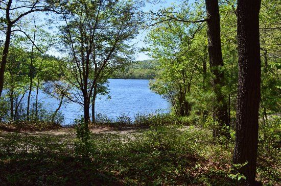 Houghton's Pond