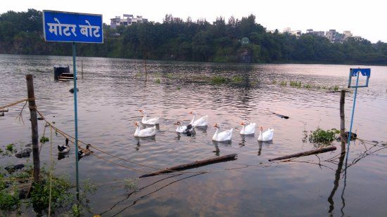 Bird Valley Udyan