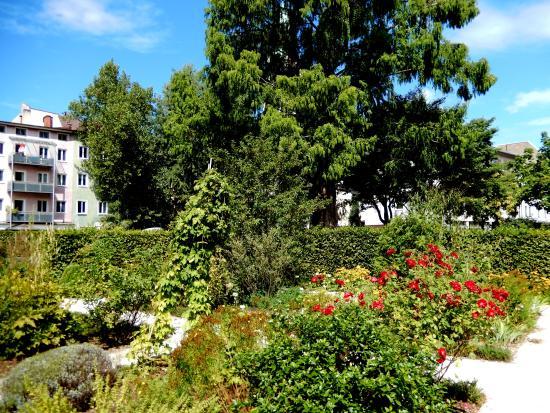 Riedergarten