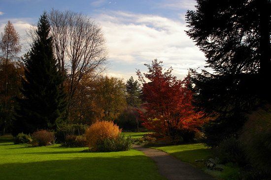 Jardin alpin