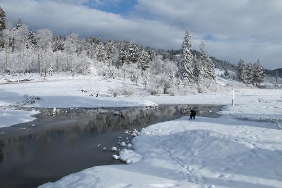 Harmon Lake