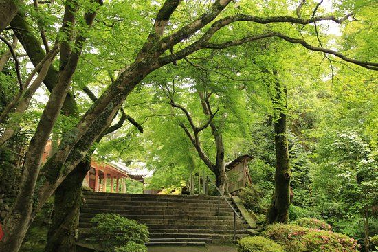 Matsuo-ji Temple