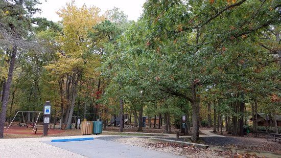 Shark River Park