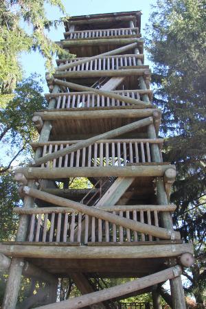 Hannah Robinson Tower