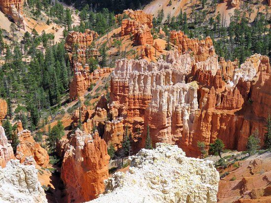 Bryce Amphitheatre