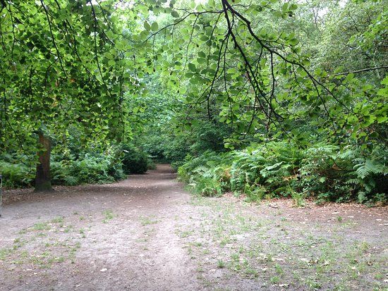 Queen Elizabeth Park