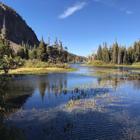 Twin Lakes Trails