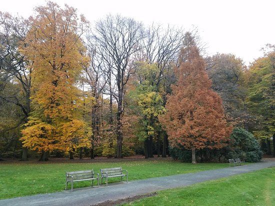 Te Boelaerpark