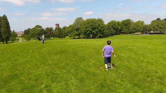 Disc Golf Course
