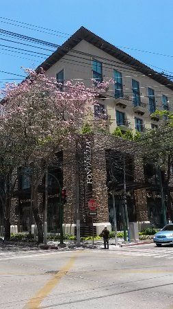 Zona Viva