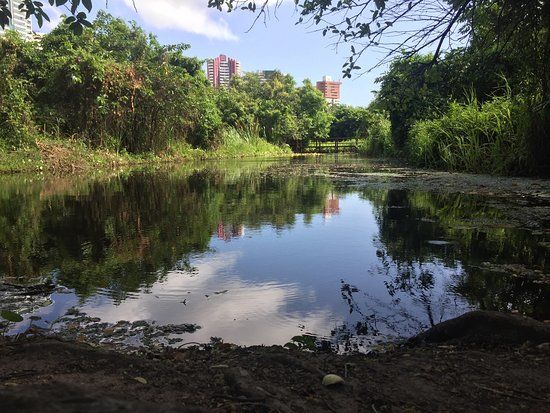 Parque Estadual do Cocó