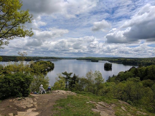 Lions Lookout
