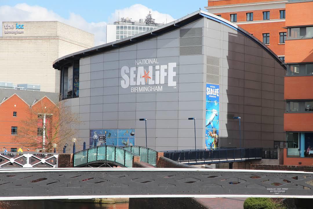 Centro National Sea Life