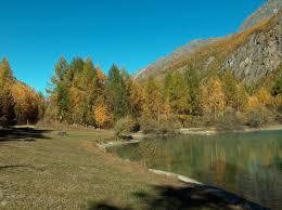 Schalisee