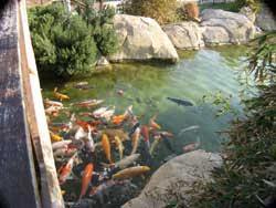 Marina d'Or Garden
