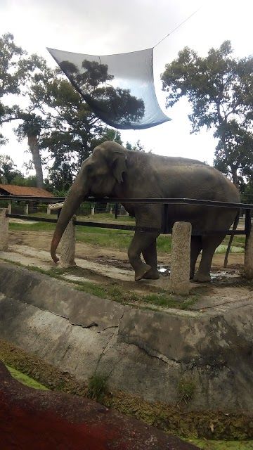 Benito Juarez Zoo
