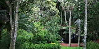 Antonio Borges Garden