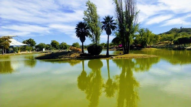 Parque Alfalfares
