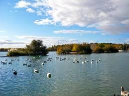 Lago Polvoranca