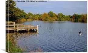 Connaught Water