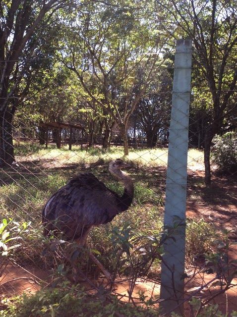Uberlandia Zoo