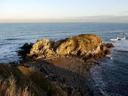 Camel's Island
