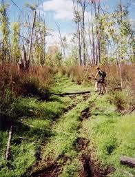 Rideau Trail