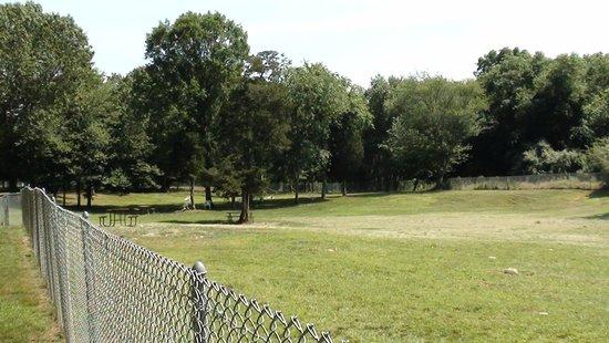 Central Bark Dog Park