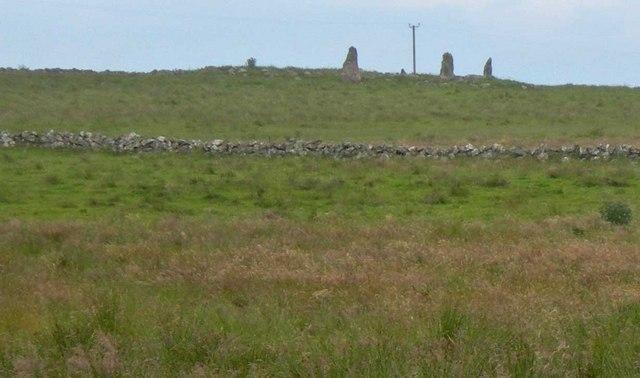 Auld Bourtreebush