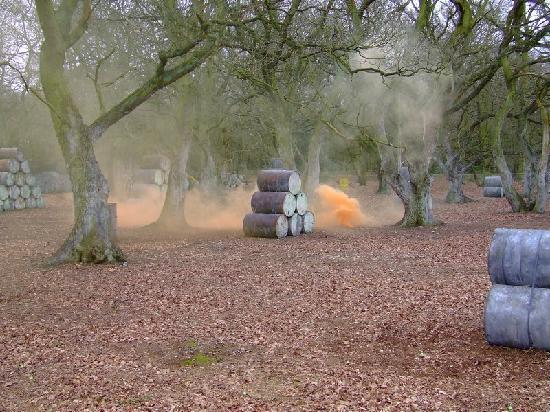 Delta Force Paintball Kings Langley