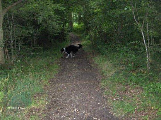 Hillingdon Trail