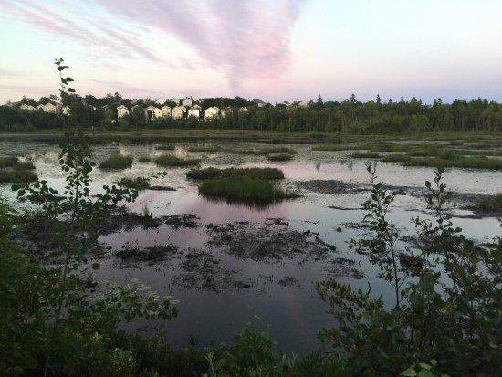 Belchers Marsh Park