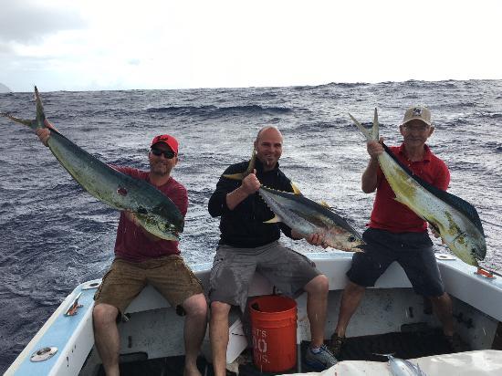 Captain Don's Sportfishing