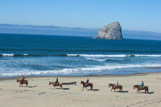 Green Acres Beach & Trail Rides