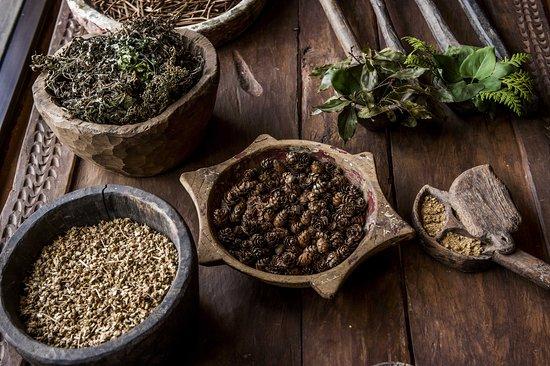 Pancha Kosha Himalayan Spa