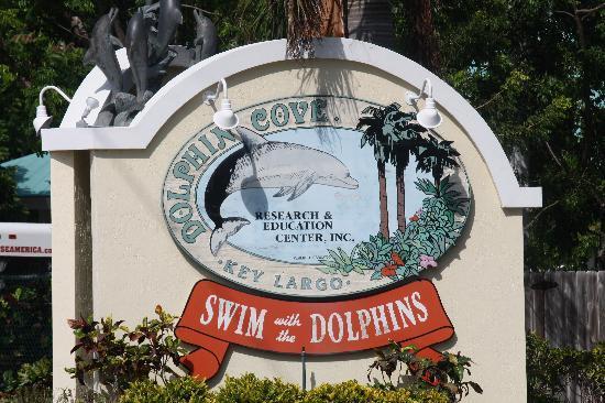 Dolphin Cove
