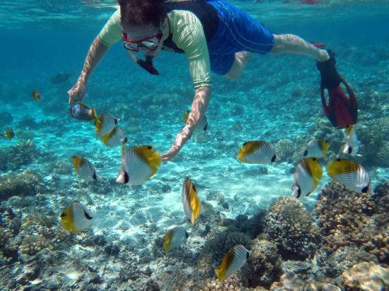 Aroa Marine Reserve