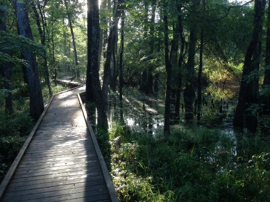 Jesse H. Jones Park & Nature Center