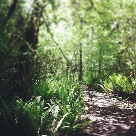 Tualatin Hills Nature Park